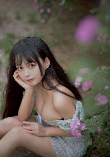 猫和老鼠全集185集免费_超清视频大全